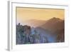 Trees atop Rocky Ridges-DLILLC-Framed Photographic Print