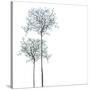 Trees Background-pashabo-Stretched Canvas
