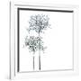 Trees Background-pashabo-Framed Premium Giclee Print