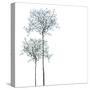 Trees Background-pashabo-Stretched Canvas