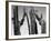 Trees, Baja, c. 1965-Brett Weston-Framed Photographic Print