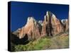 Trees Below Abraham and Isaac Peaks in the Court of the Patriarchs, Zion National Park, Utah, USA-Tomlinson Ruth-Stretched Canvas