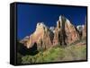 Trees Below Abraham and Isaac Peaks in the Court of the Patriarchs, Zion National Park, Utah, USA-Tomlinson Ruth-Framed Stretched Canvas