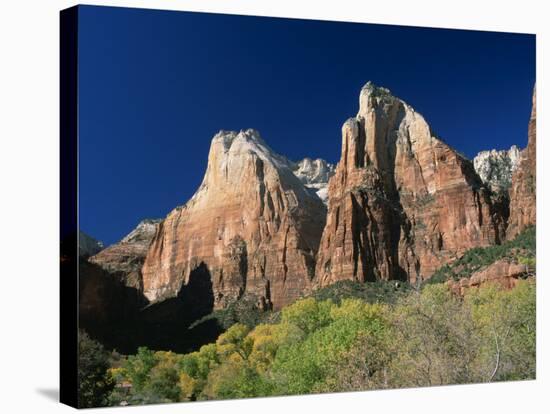 Trees Below Abraham and Isaac Peaks in the Court of the Patriarchs, Zion National Park, Utah, USA-Tomlinson Ruth-Stretched Canvas