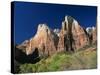 Trees Below Abraham and Isaac Peaks in the Court of the Patriarchs, Zion National Park, Utah, USA-Tomlinson Ruth-Stretched Canvas