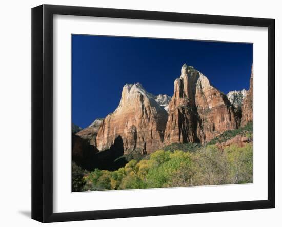 Trees Below Abraham and Isaac Peaks in the Court of the Patriarchs, Zion National Park, Utah, USA-Tomlinson Ruth-Framed Photographic Print