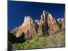 Trees Below Abraham and Isaac Peaks in the Court of the Patriarchs, Zion National Park, Utah, USA-Tomlinson Ruth-Mounted Photographic Print