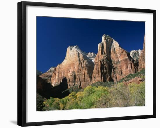 Trees Below Abraham and Isaac Peaks in the Court of the Patriarchs, Zion National Park, Utah, USA-Tomlinson Ruth-Framed Photographic Print