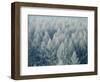 Trees Biei-Cho Hokkaido-null-Framed Photographic Print