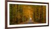 Trees both sides on a dirt road, Iron Hill, Quebec, Canada-null-Framed Photographic Print