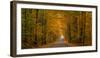 Trees both sides on a dirt road, Iron Hill, Quebec, Canada-null-Framed Photographic Print