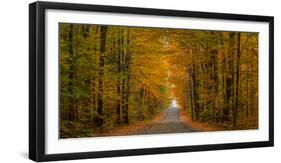 Trees both sides on a dirt road, Iron Hill, Quebec, Canada-null-Framed Photographic Print