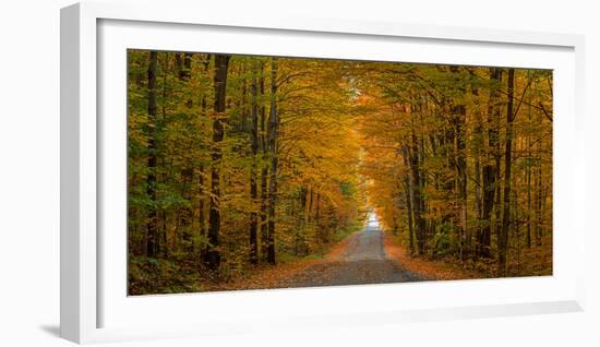 Trees both sides on a dirt road, Iron Hill, Quebec, Canada-null-Framed Photographic Print