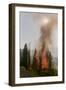 Trees Burning in Forest Fire-null-Framed Photographic Print