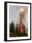 Trees Burning in Forest Fire-null-Framed Photographic Print