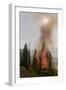 Trees Burning in Forest Fire-null-Framed Photographic Print