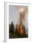 Trees Burning in Forest Fire-null-Framed Photographic Print