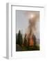 Trees Burning in Forest Fire-null-Framed Photographic Print