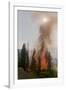 Trees Burning in Forest Fire-null-Framed Photographic Print