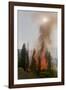 Trees Burning in Forest Fire-null-Framed Photographic Print