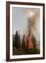 Trees Burning in Forest Fire-null-Framed Photographic Print