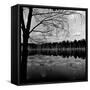 Trees by Lakeshore-David H. Wells-Framed Stretched Canvas