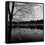 Trees by Lakeshore-David H. Wells-Framed Stretched Canvas