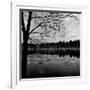 Trees by Lakeshore-David H. Wells-Framed Photographic Print