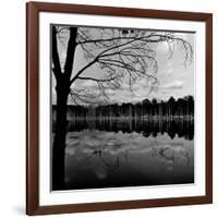 Trees by Lakeshore-David H. Wells-Framed Photographic Print