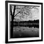 Trees by Lakeshore-David H. Wells-Framed Photographic Print