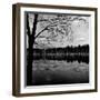 Trees by Lakeshore-David H. Wells-Framed Photographic Print