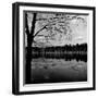 Trees by Lakeshore-David H. Wells-Framed Photographic Print