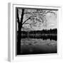 Trees by Lakeshore-David H. Wells-Framed Photographic Print