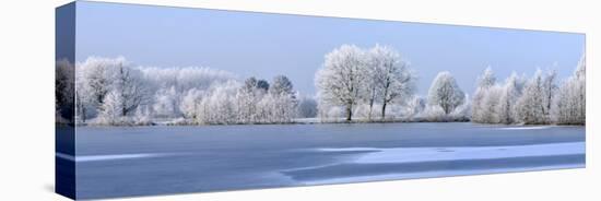 Trees Covered in Hoarfrost Beside Frozen Lake in Winter, Belgium-Philippe Clement-Stretched Canvas