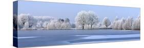 Trees Covered in Hoarfrost Beside Frozen Lake in Winter, Belgium-Philippe Clement-Stretched Canvas