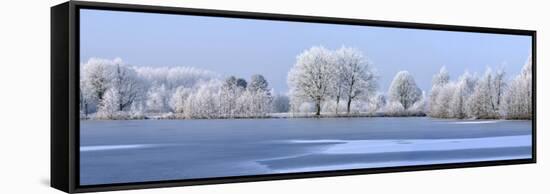 Trees Covered in Hoarfrost Beside Frozen Lake in Winter, Belgium-Philippe Clement-Framed Stretched Canvas