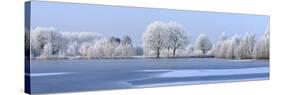 Trees Covered in Hoarfrost Beside Frozen Lake in Winter, Belgium-Philippe Clement-Stretched Canvas