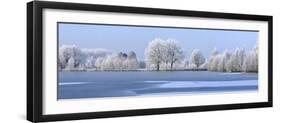 Trees Covered in Hoarfrost Beside Frozen Lake in Winter, Belgium-Philippe Clement-Framed Photographic Print