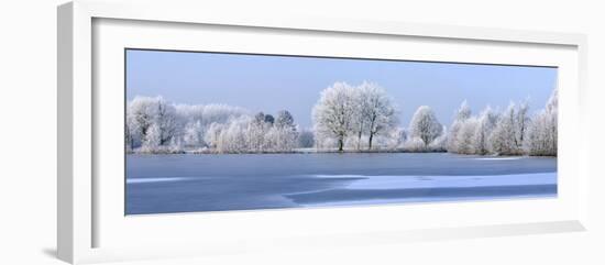 Trees Covered in Hoarfrost Beside Frozen Lake in Winter, Belgium-Philippe Clement-Framed Photographic Print