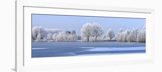 Trees Covered in Hoarfrost Beside Frozen Lake in Winter, Belgium-Philippe Clement-Framed Photographic Print