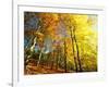 Trees Covered in Yellow Autumn Leaves, Jasmund National Park, Island of Ruegen, Germany-Christian Ziegler-Framed Photographic Print