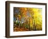 Trees Covered in Yellow Autumn Leaves, Jasmund National Park, Island of Ruegen, Germany-Christian Ziegler-Framed Photographic Print