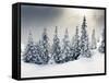 Trees Covered with Hoarfrost and Snow in Mountains-Leonid Tit-Framed Stretched Canvas