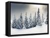 Trees Covered with Hoarfrost and Snow in Mountains-Leonid Tit-Framed Stretched Canvas