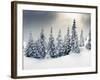 Trees Covered with Hoarfrost and Snow in Mountains-Leonid Tit-Framed Premium Photographic Print