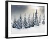 Trees Covered with Hoarfrost and Snow in Mountains-Leonid Tit-Framed Premium Photographic Print