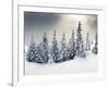 Trees Covered with Hoarfrost and Snow in Mountains-Leonid Tit-Framed Photographic Print