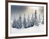 Trees Covered with Hoarfrost and Snow in Mountains-Leonid Tit-Framed Photographic Print