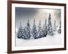 Trees Covered with Hoarfrost and Snow in Mountains-Leonid Tit-Framed Photographic Print