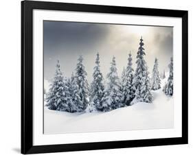 Trees Covered with Hoarfrost and Snow in Mountains-Leonid Tit-Framed Photographic Print